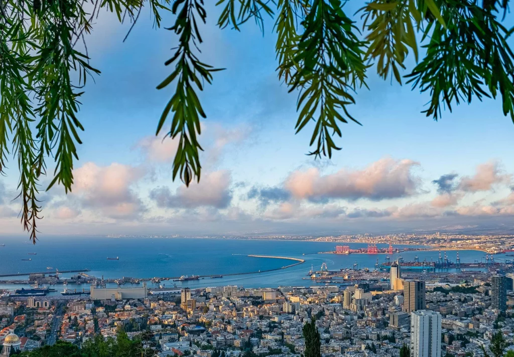תצלום מלמעלה של חיפה, בישראל, המראה את העיר, הבניינים, והנמל עם אוניות עוגנות בנמל חיפה, ממוסגר עם ענפים ירוקים של עץ מלמעלה..