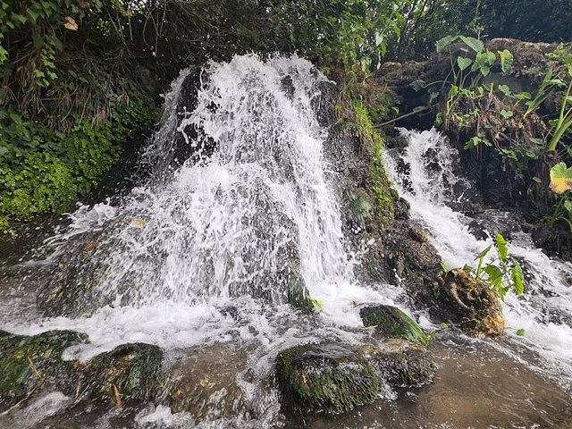 אנימצייה שצולמה במהלך סדנת צילום בסמארטפון במלון הגושרים, בה המשתתפות למדו כיצד להשתמש בטכניקת חשיפה ארוכה ליצירת אפקט של תנועה זורמת במים. הצילום בוצע בטלפון חכם בלבד ומשקף את שילוב הטכניקה והטבע לכדי יצירה אמנותית חיה.